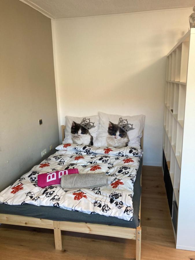 Privatzimmer In Muenchen Zentrum Экстерьер фото